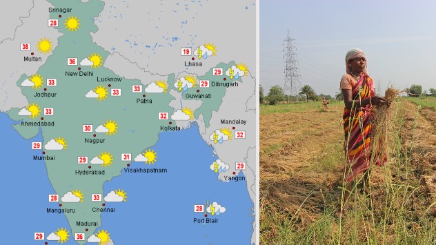 Early rains withdrawal forecast can help farmers plan their harvest