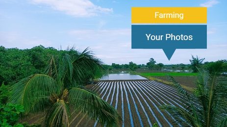 Farming English