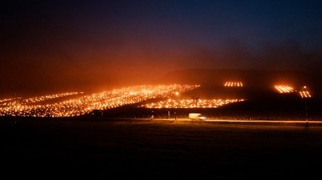 Vineyard candles