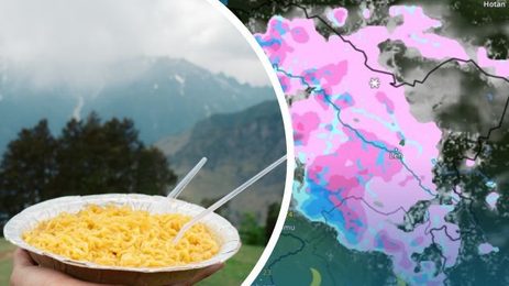 Winter Foods India 