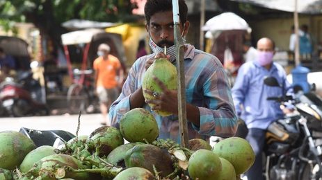 coconut