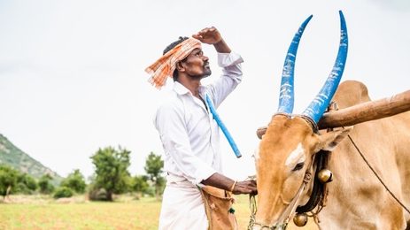 Worried Farmer in India