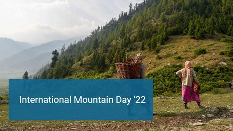International Mountain Day