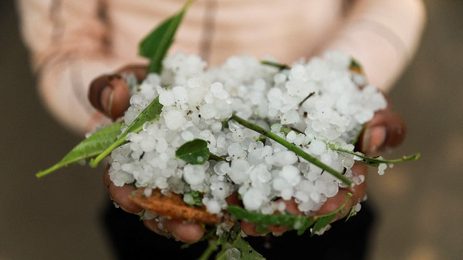 Hailstorm Alert in Punjab