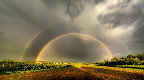 double rainbow