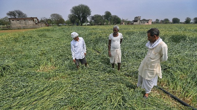 Hailstorm India 