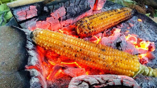 Bhutta