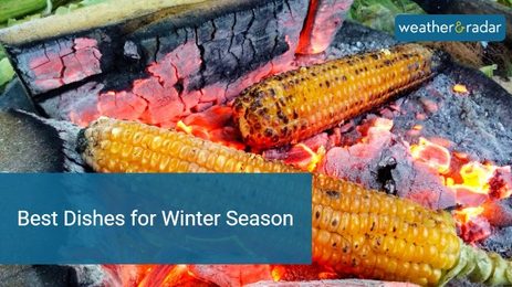Winter Season Dishes