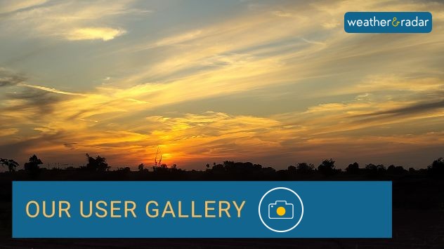 Our User Gallery 